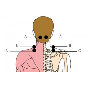 Tonique tachyonisé pour le système circulatoire OS-H9