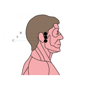 Tachyonized Herbal Ear Drops OS-H16
