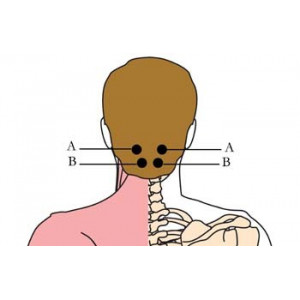 Préparation tachyonisée en cas de migraines et maux de tête OS-H15