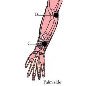 Tachyonized Restorative Nerve Preparation OS-H26